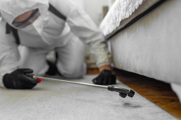 Professional Cockroach Control technician working in Chesterland, OH