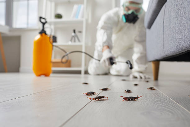 Trusted Cockroach Control service in Chesterland, OH - Nex Pest Control