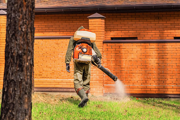 Trusted Ant Control service in Chesterland, OH - Nex Pest Control